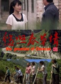 春草在线全集观看,青春校园的浪漫篇章 第1张 春草在线全集观看,青春校园的浪漫篇章 第1张